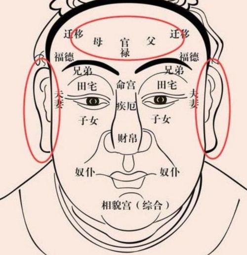 长相有福气是什么意思 说人有福相是长得丑吗插图