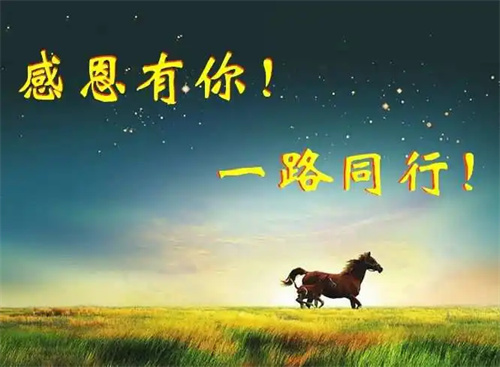 一路同行是什么意思(一路同行八个字激励短句)插图