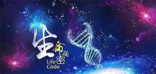 英文名测吉凶-英文名五行吉凶测试插图