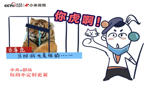 男人说你虎代表什么(性格有点虎的女孩子)插图