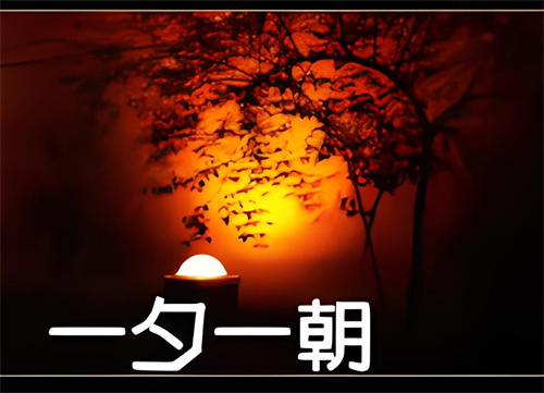 一朝一夕打一个动物，一朝一夕开过什么生肖插图