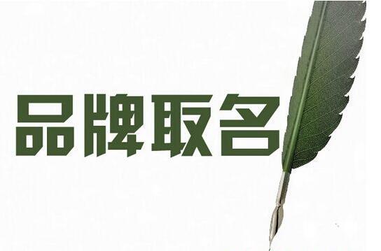 品牌测名打分-周易商标测名打分吉凶插图