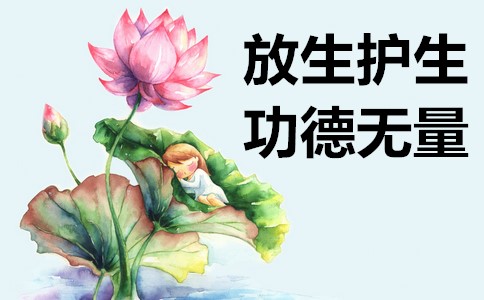 放生好处有哪些(放生15种功德利益)插图