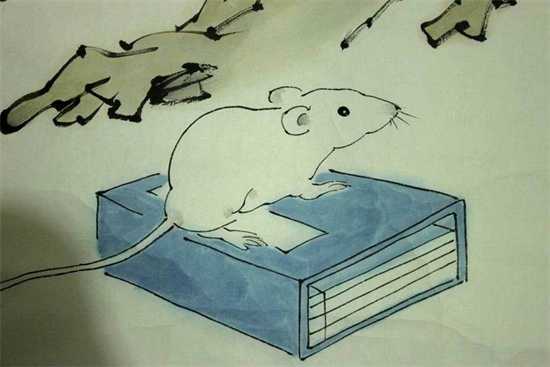 步步为营是什么生肖插图