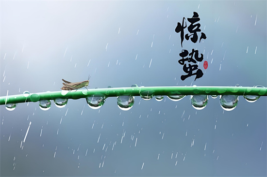 一声春雷震天响是什么生肖插图