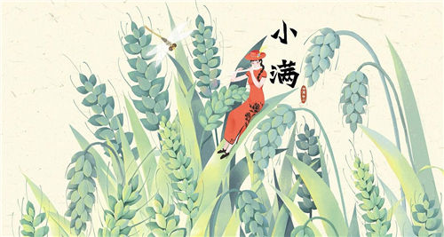 小满节气吃什么食物养生 吃三瓜食三果喝三茶插图