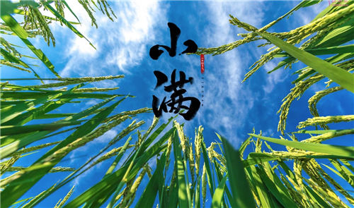 小满的民俗活动有哪些 看完涨知识！插图