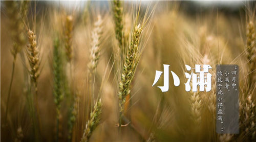 小满节气有什么禁忌 小满节气6大禁忌要注意！插图