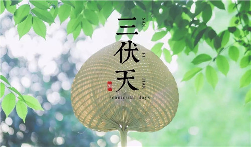 2024年入伏时间表一览 2024年今年三伏还是40天吗插图3