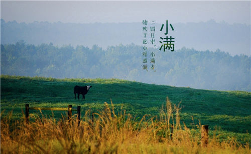 小满的民俗活动有哪些 看完涨知识！插图1