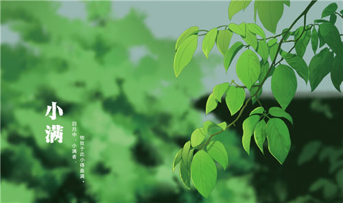 小满节气有什么禁忌 小满节气6大禁忌要注意！插图1