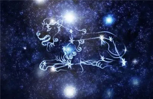 【十二星座之狮子座】狮子座的性格和脾气_狮子座有什么天赋_狮子座适合做什么工作插图2