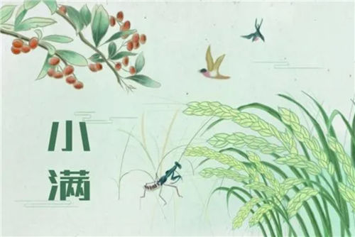 小满的民俗活动有哪些 看完涨知识！插图2