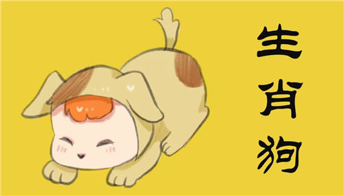 属狗的2024贵人属相-生肖狗贵人方向-2024属狗的人运气怎么样插图