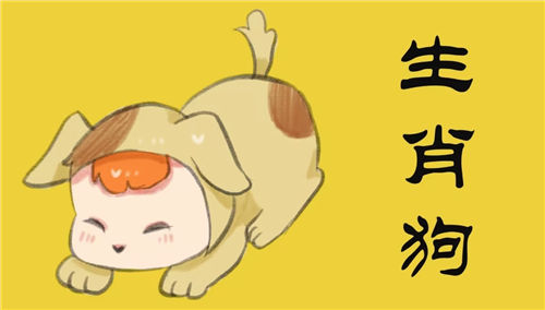 【十二生肖:狗】属狗2024年综合/事业/爱情/健康整体运势 属狗人2024年每月运势插图