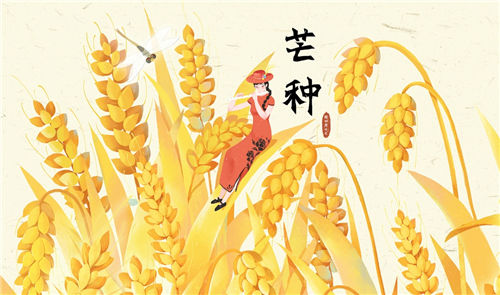 芒种节气养生注意事项-芒种养生小知识-芒种养生这几点记心上插图