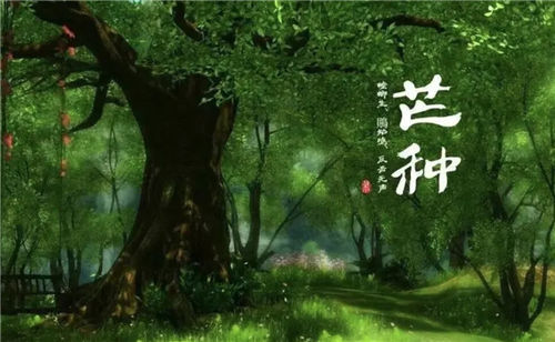 【芒种饮食】芒种吃什么：品味两花两肉，畅享四果四瓜，消暑养生两不误插图