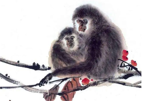 属猴的2024贵人属相-生肖猴贵人方向-2024属猴的人运气怎么样插图1