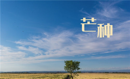 芒种节气养生注意事项-芒种养生小知识-芒种养生这几点记心上插图1