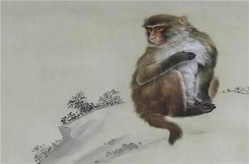 属猴的2024贵人属相-生肖猴贵人方向-2024属猴的人运气怎么样插图2