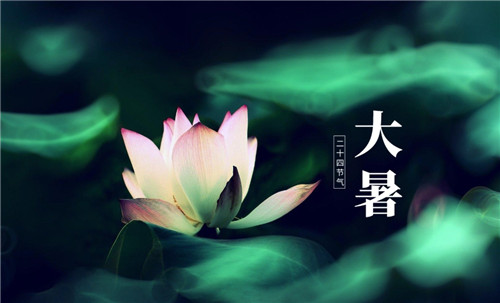 【大暑食俗】大暑这天各地吃什么？盘点必不可少的美食！插图