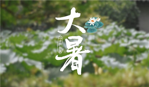 大暑养生小知识：大暑时节解锁养生智慧：必备小贴士大放送！插图