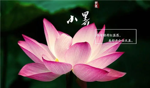 【小暑气候】小暑的气候是怎样的_天气有什么变化热不热_小暑节气由来插图