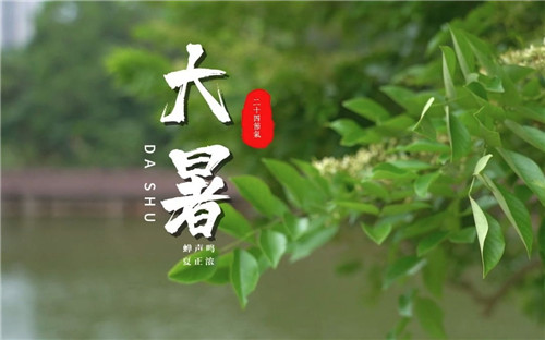 大暑养生小知识：大暑时节解锁养生智慧：必备小贴士大放送！插图1