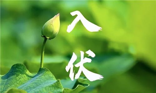 2024年入伏从哪一天开始_入伏时间表2024_今年入伏和出伏的时间插图