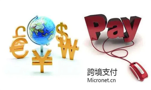 跨境支付机构有哪些 跨境支付与境内支付有什么不同插图