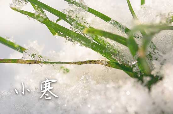 2025年小寒节气吃什么美食插图1