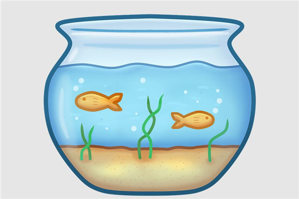 家宅风水鱼缸讲究什么插图