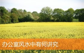 办公室风水中有何讲究和忌讳缩略图 办公室风水中有何讲究和忌讳缩略图
