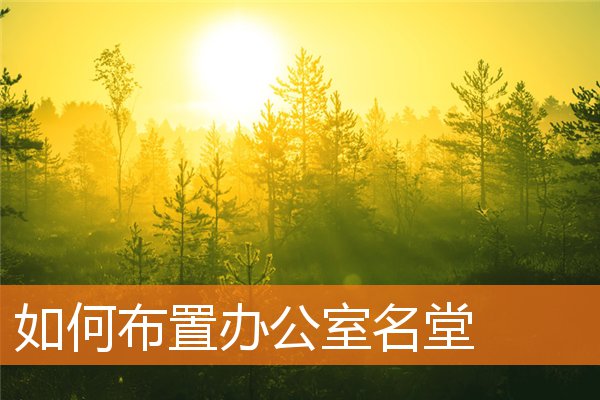 如何布置办公室名堂插图