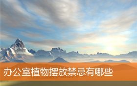 办公室植物摆放有什么规矩和禁忌有哪些缩略图 办公室植物摆放有什么规矩和禁忌有哪些缩略图