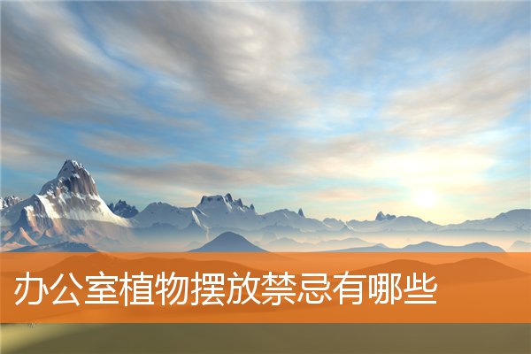 办公室植物摆放有什么规矩和禁忌有哪些插图