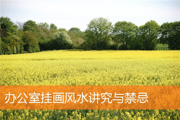 办公室挂画风水讲究和忌讳与有什么规矩和禁忌插图