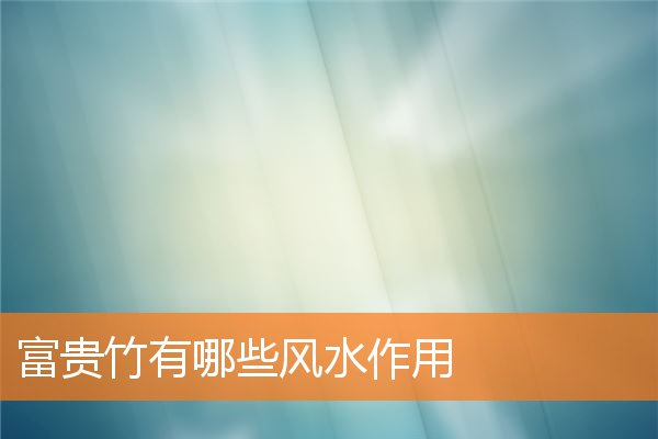 富贵竹有哪些风水作用与寓意插图