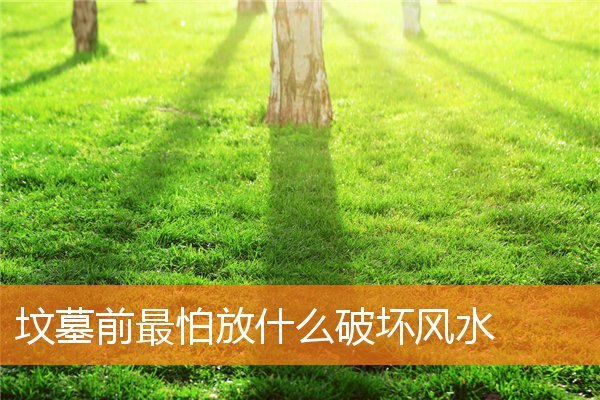 坟墓前最怕放什么破坏风水插图