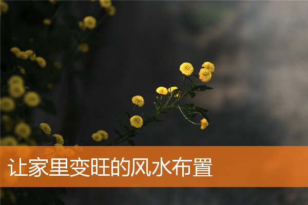 让家里变旺的风水布置插图