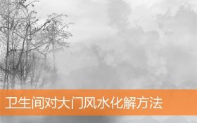 卫生间对大门风水化解方法缩略图 卫生间对大门风水化解方法缩略图