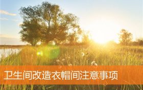 卫生间改造衣帽间注意事项缩略图 卫生间改造衣帽间注意事项缩略图