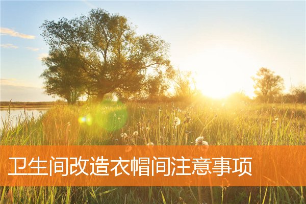 卫生间改造衣帽间注意事项插图
