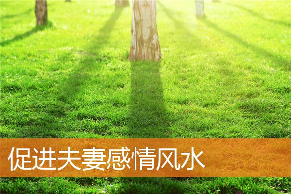 促进夫妻感情风水插图