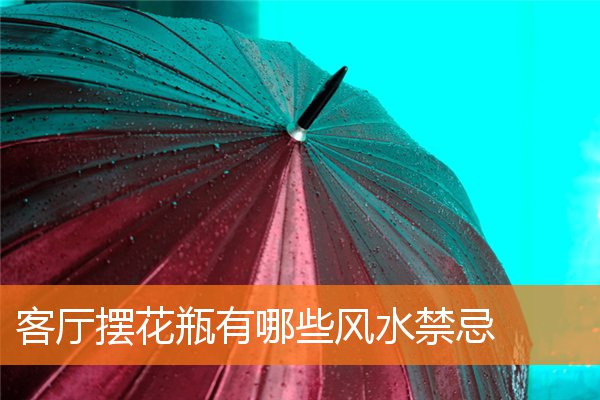 客厅摆花瓶有哪些风水有什么规矩和禁忌插图