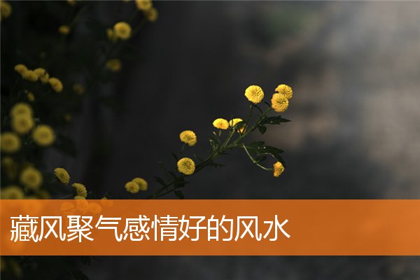 藏风聚气感情好的风水插图