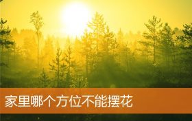 家里哪个方位不能摆花缩略图 家里哪个方位不能摆花缩略图