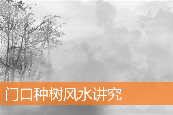 门口种树风水讲究插图