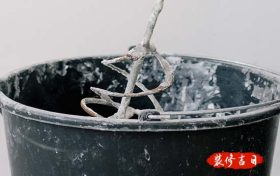 2025年1月11日动土修造可以吗_2025年1月11日是动土修造的黄道吉日吗缩略图 2025年1月11日动土修造可以吗_2025年1月11日是动土修造的黄道吉日吗