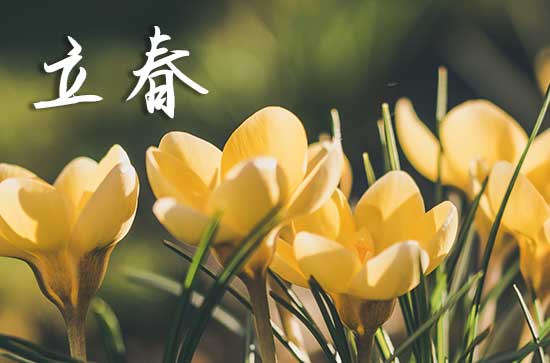 2025年什么时候立春_2025年立春弄开业好吗插图1